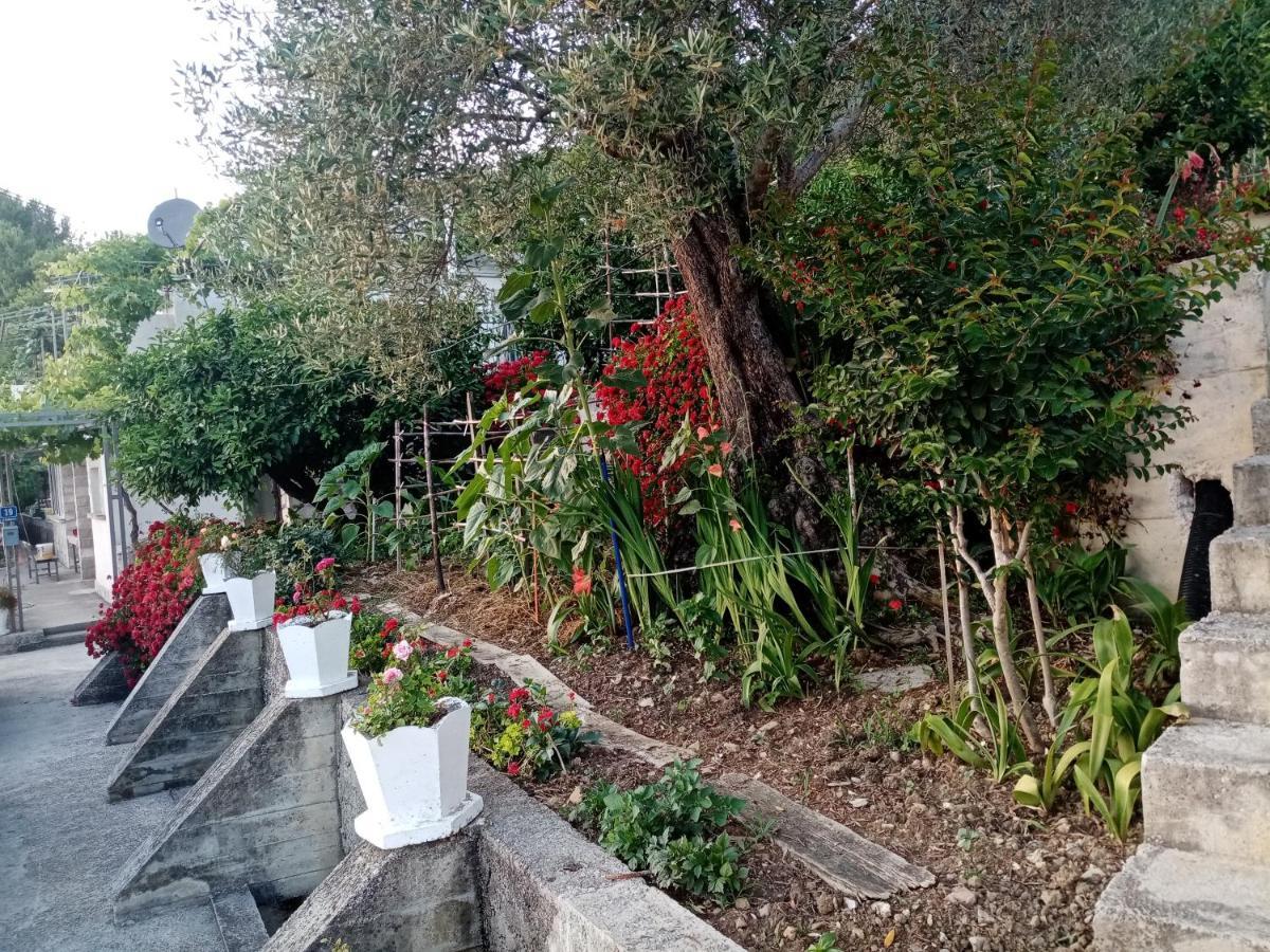 Apartmani Bosco ティヴァト エクステリア 写真