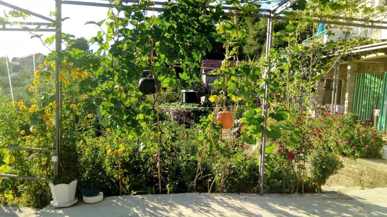 Apartmani Bosco ティヴァト エクステリア 写真
