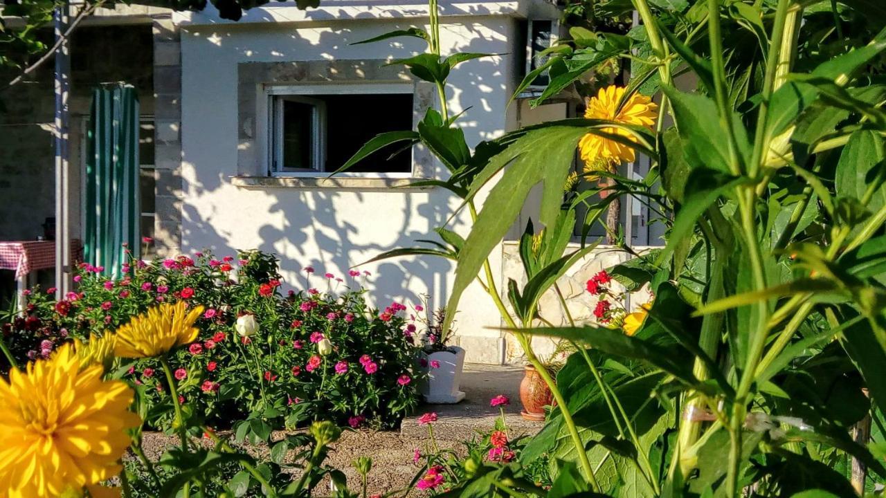 Apartmani Bosco ティヴァト エクステリア 写真