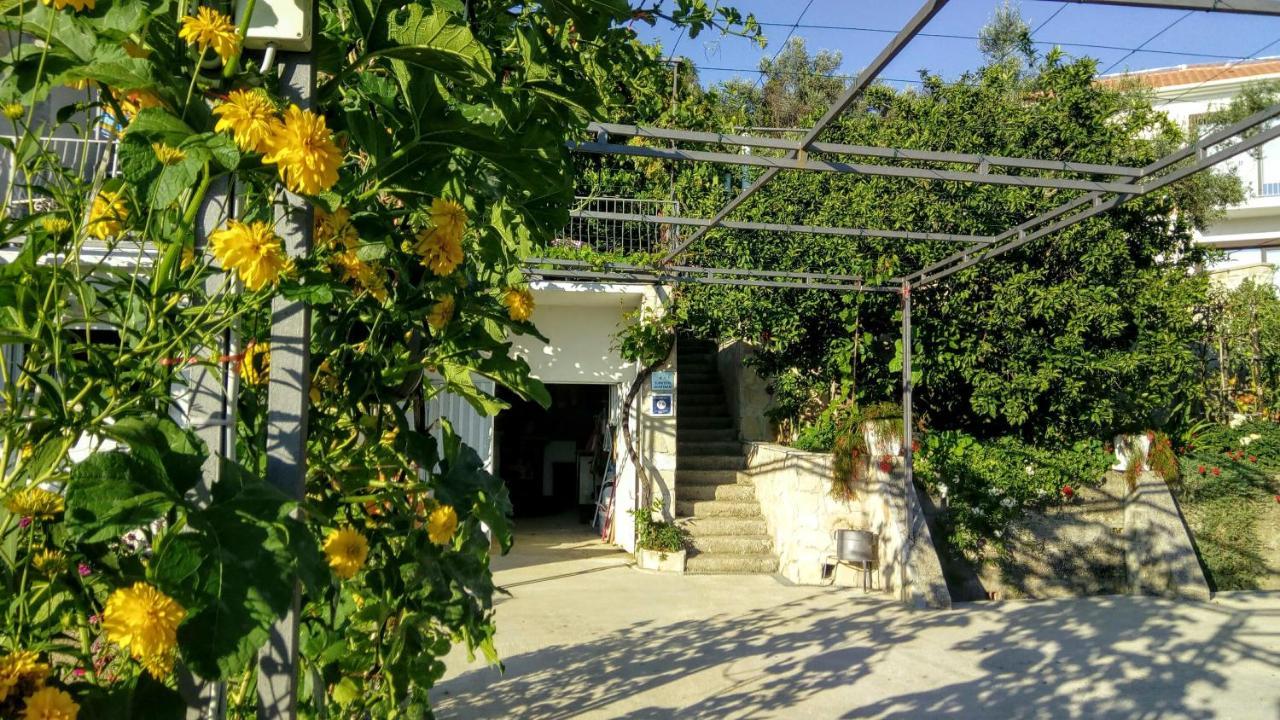 Apartmani Bosco ティヴァト エクステリア 写真