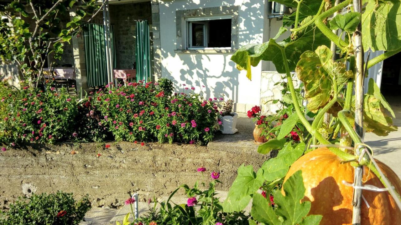 Apartmani Bosco ティヴァト エクステリア 写真