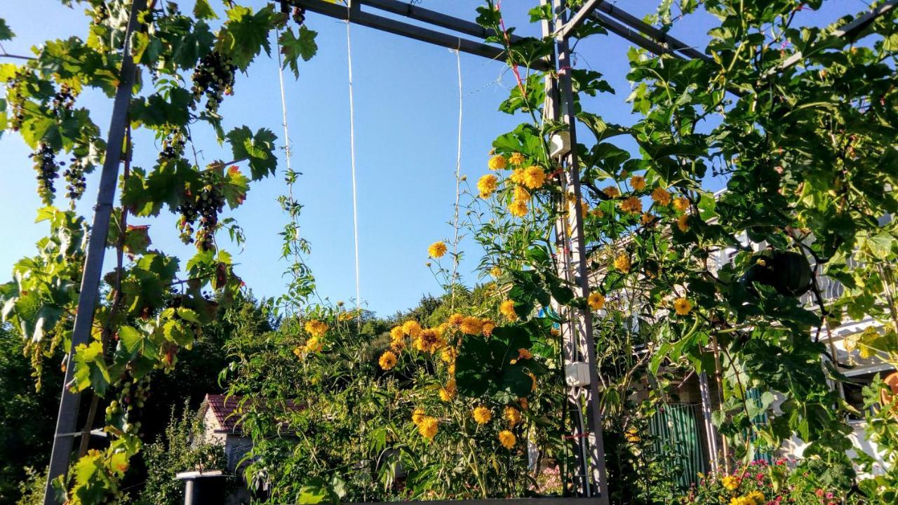 Apartmani Bosco ティヴァト エクステリア 写真