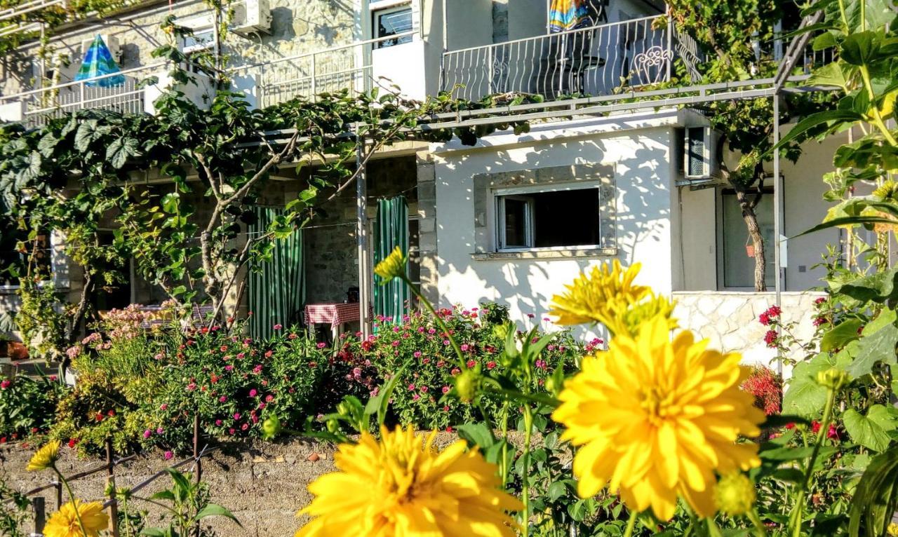 Apartmani Bosco ティヴァト エクステリア 写真