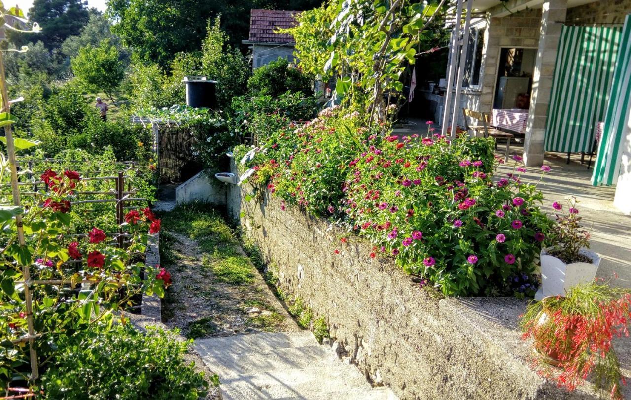 Apartmani Bosco ティヴァト エクステリア 写真